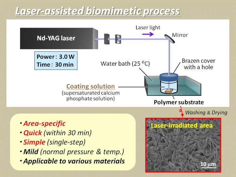 液相レーザープロセスによるアパタイト成膜技術