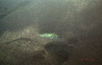 File0010.jpg