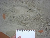 20021002111042.jpg