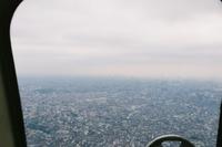 20030423102350ag.jpg