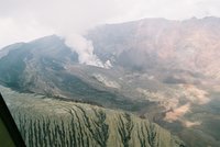 20050809103112ag.jpg