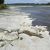 鬼怒川の河床に露出する田之倉層の珪藻質シルト岩<br>
            2012年、2013年にこの付近でクジラの化石が発見されました。<br>
            <br>
            Locality : 宇都宮市下岡本町の鬼怒川河床<br>