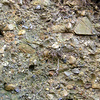 茗荷沢層の礫岩の露頭写真<br>
            塊状で淘汰は悪く、ジュラ紀付加コンプレックスと珪長質火成岩類の円礫－亜円礫からなっています。<br>
            <br>
            Locality : 宇都宮市飯田町上飯田西方<br>