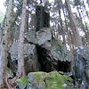 戦車<br>
            杉林の斜面に頓挫する戦車のような石。風化して取り残された溶結凝灰岩の柱状節理が、横倒しになってこんな形になりました。<br>
            <br>
            Locality : 兵庫県神崎町越知<br>