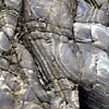 木目様ラミナ<br>
            リズミカルに繰り返す砂岩泥岩互層が、浸食されてできた造形です。<br>
            <br>
            Locality : 岩手県大船渡市外口<br>