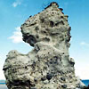 恋路海岸の凝灰岩<br>
            火砕流堆積物が波・風に侵食されてできた造形です。凝灰岩類は人間が石材によく利用しているように、加工しやすく白い色がきれいなので、しばしば自然もいろいろな彫刻をほどこします。<br>
            <br>
            Locality : 石川県内浦町恋路<br>