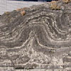 スランプ構造<br>
            凝灰質の砂岩シルト岩互層に発達するスランプ構造です。堆積後間もない時期の、未固結変形構造の一種です。<br>
            <br>
            Locality : 神奈川県三浦市海外町<br>