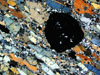 緑色片岩<br>
            ザクロ石緑色片岩の薄片写真です．細長いのは主に緑れん石，中央の黒い結晶がザクロ石 (ガーネット) です．<br>
            <br>
            Locality : 愛媛県土居町関川<br>