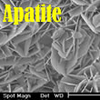 アパタイト結晶の写真
