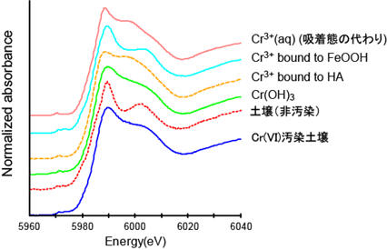 様々な形態のCr K吸収端XANESスペクトル