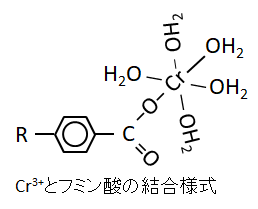 Cr3+とフミン酸の結合