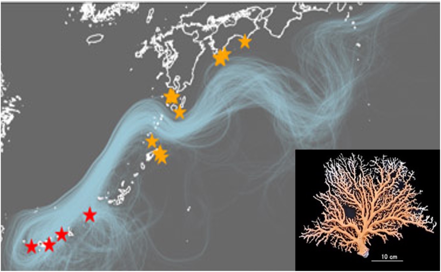 Genetic connectivity map