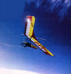 Solid Wing Hung Glider