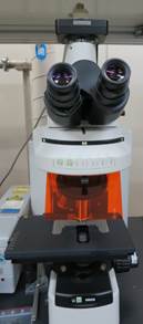 Fluorescence optical microscope