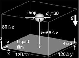 3D single drop free-falling and merging into a liquid film on solid wall.