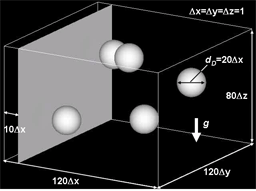 3D free-falling drops collapsing with vertical liquid film.