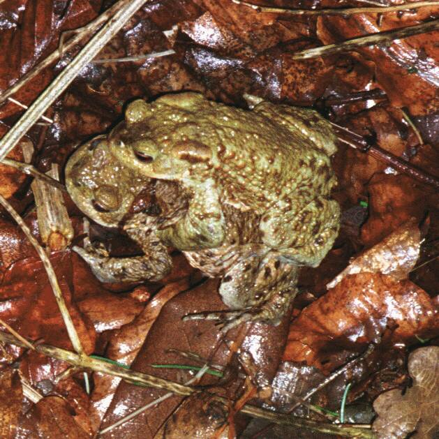 ���X�ؑI�肩��̎ʐ^