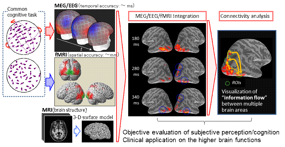 multimodal_imaging