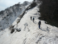 新潟県川内山塊（蒲原山地）の灰ヶ岳へ向かう