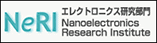 Nanoelectronics Research Institute