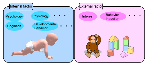 Factor related to infant behavior