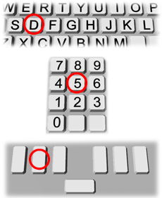 この図は、キーボードのD、テンキーの5、点字キーの左手中央キーを押す図です。
